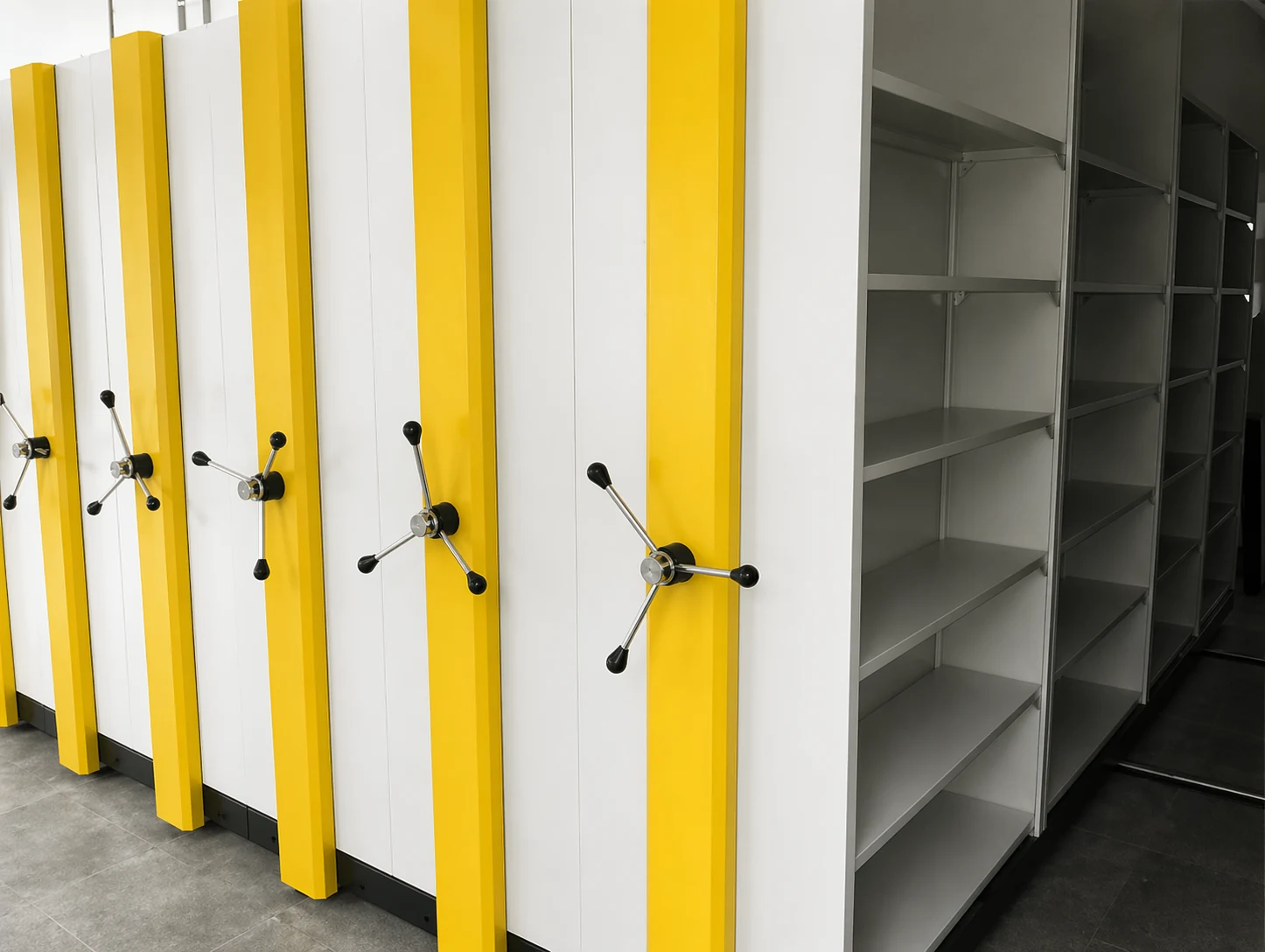 Shrusti Mobile Shelving