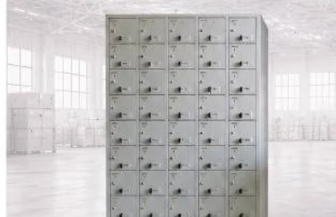 Shrusti Mobile Locker SS-ML-01